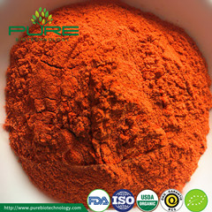 Organic Goji Berry Powder Goji Extract, Packaging Type : 25kg/drum