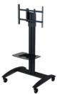 Flat Panel Mobile Trolley