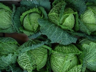 Cabbage, Storage Tips : Store In A Cool Place