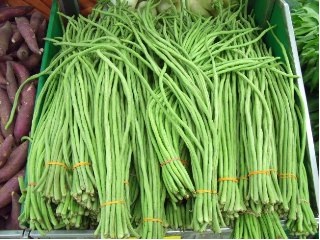 Green Beans Storage : Refrigerate In A Plastic Bag For Up To 5 Days