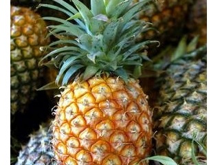 Fresh Pineapple