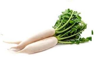 Radish