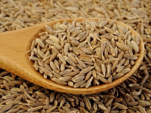 Cumin Seeds, For Cooking, Style : Fresh