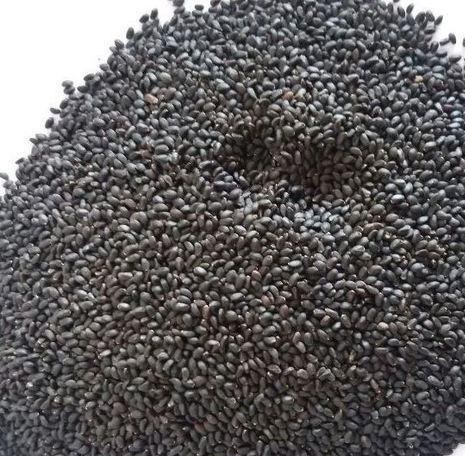 Raw Common Organic Basil Seeds (Tukmaria), Shape : Round