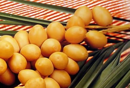 Natural fresh dates, Color : Brown, Grey