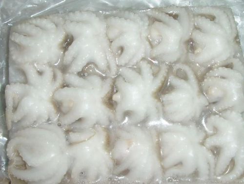 Frozen Octopus, Packaging Type : White