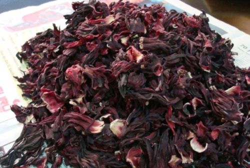 Organic Hibiscus Rosa-Sinensis