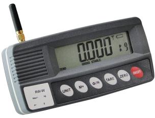 REMOTE DISPLAY CONTROLLER