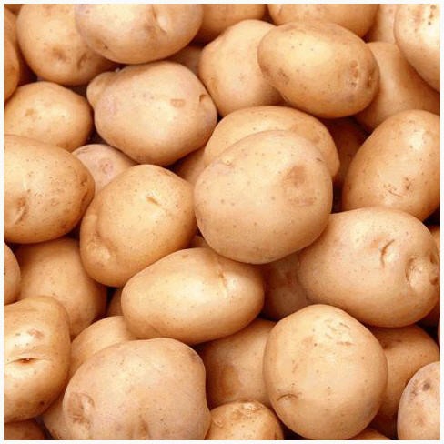 Fresh potato, Country of Origin : India