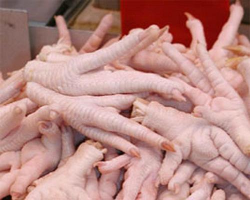 Processed Frozen Fresh Chicken Feet