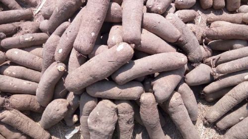 Pure Naturally Grown Yam