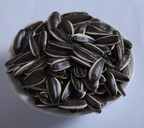 Sun Flower Seeds, Packaging Type : BLACK