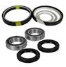 Hydraulic Cylinder and Seals