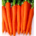 Carrot Seeds