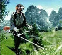 Heavy Duty Brush Cutters