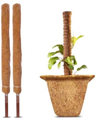 Coir Poles