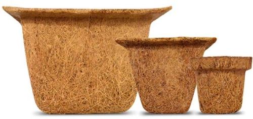Coir Pots
