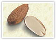 Almond, Usage : Light Sweet