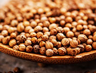 Coriander, Usage/Application : Curries,Pickles,Spice Blends