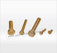 Brass Bolts