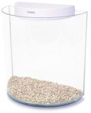 Betta Kit Fish Aquarium