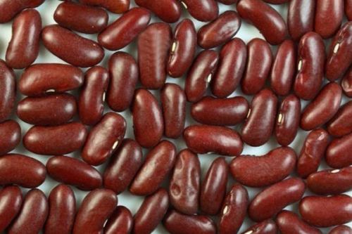 Kidney Beans