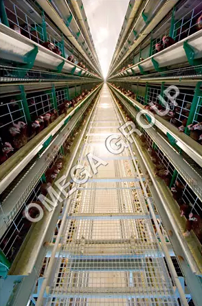 Galvanized Welded Mesh Panels