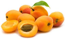 Apricot Oil