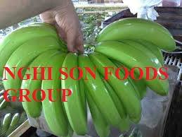 Fresh banana, Country of Origin : India