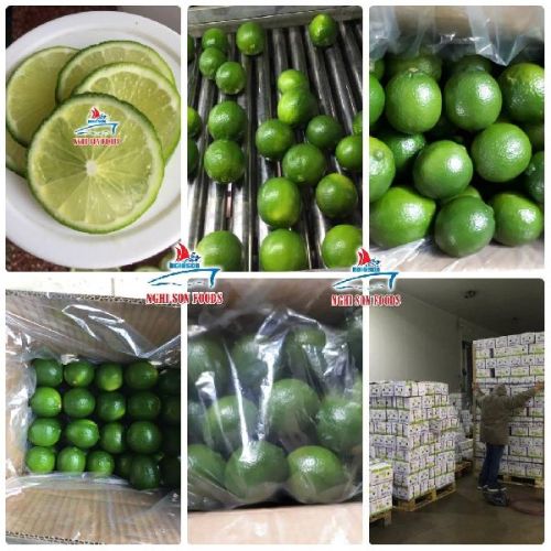 Original Fresh Seedless Lime