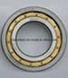 Cylindrical Roller Bearings