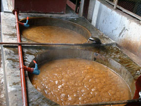 Jaggery Plant