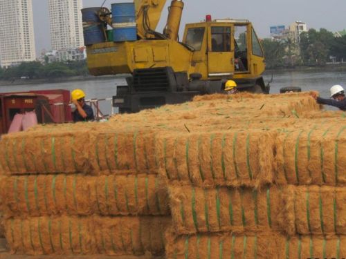 Coconut Fiber, Texture : Soft