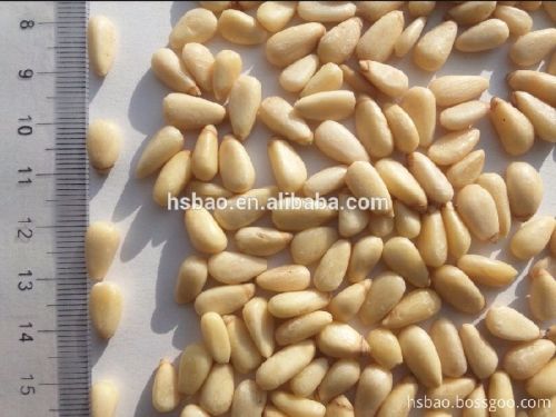 750 Pcs 100g Organic Red Pine Nut Kernel