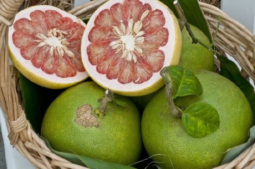 Pomelo Fruit