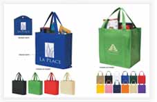 Non Woven Shopping Bags