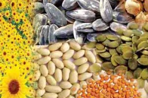 Oil seeds