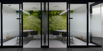 Automatic Swing Glass Doors