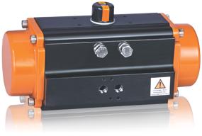 Pneumatic Rotary Actuator