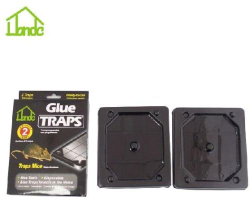 Mouse Glue Trap Boards Amazon UK