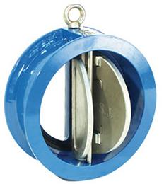 Dual Plate Check Valve
