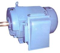 Primo and Spectrum 3 Phase Cage Motors