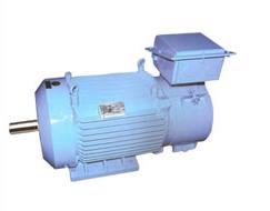 Three Phase AC Crane Duty Motors