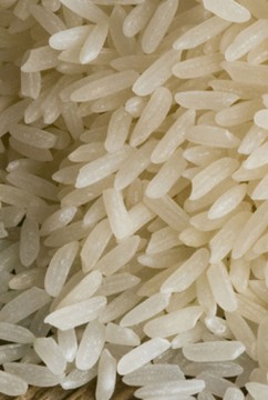 1121 white sella rice