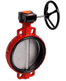 Butterfly Valve