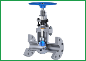 Globe Valve, Finishing : Polished