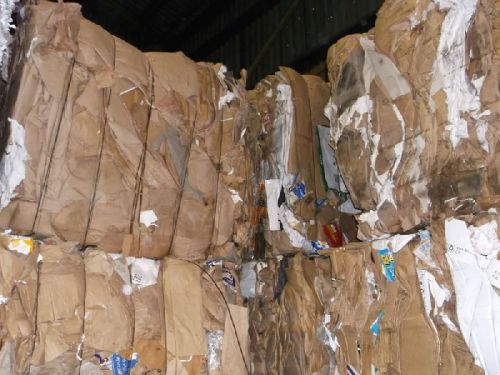 Oinp Scraps Occ Waste Paper, For Making Carton Boxes, Making Pulp, Paper Type : Duplex Board