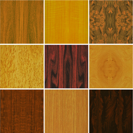 Wood Veneer