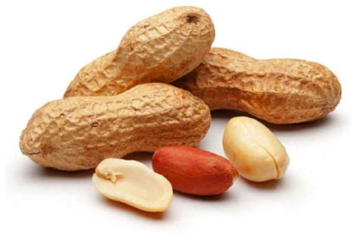 Organic Groundnut Kernels