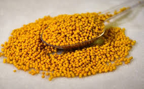 Organic Yellow Mustard Seeds, Packaging Type : PP Bag, Plastic Pouch